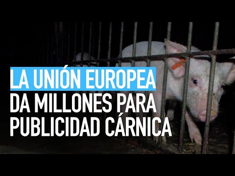 La UE destina millones a financiar campañas de marketing de la industria cárnica
