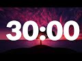 30 minute timer with alarm without music
