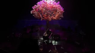 RM (BTS) - Wild flower by Orchestra CAGMO. Piano soloist - Shin Jiho. Moscow 02.02.2024