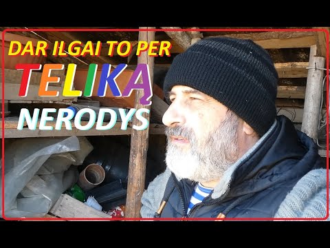 Video: Kas papaia ensüüm on vere vedeldaja?