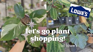 Brand New Location! Plant Shopping at Lowe’s in Georgetown, TX 🪴🌸
