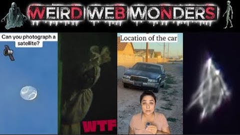 weird web wonders vol 63