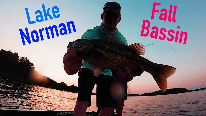 Lake Norman Fall Bass Fishing
