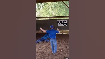 Quick Tips To Gain Confidence With Your Horse! Part 1.  | The Horse Guru-Michael Gascon