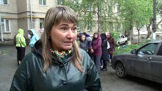 В Златоусте бродячие собаки напали на 8-летнюю девочку В Златоусте бродячие собаки напали на 8-летнюю девочку