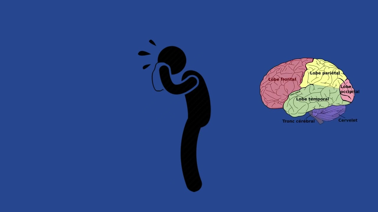 C'est quoi l'impulsivité?