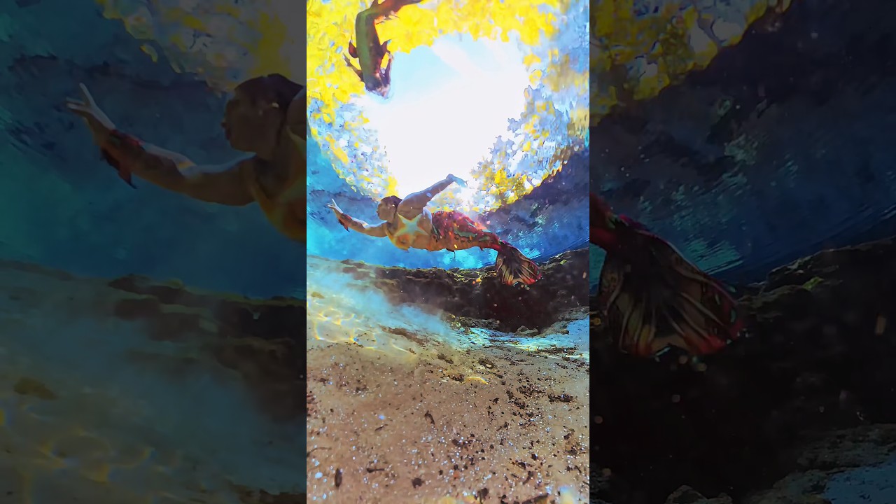 Mermaids on the move in Florida 