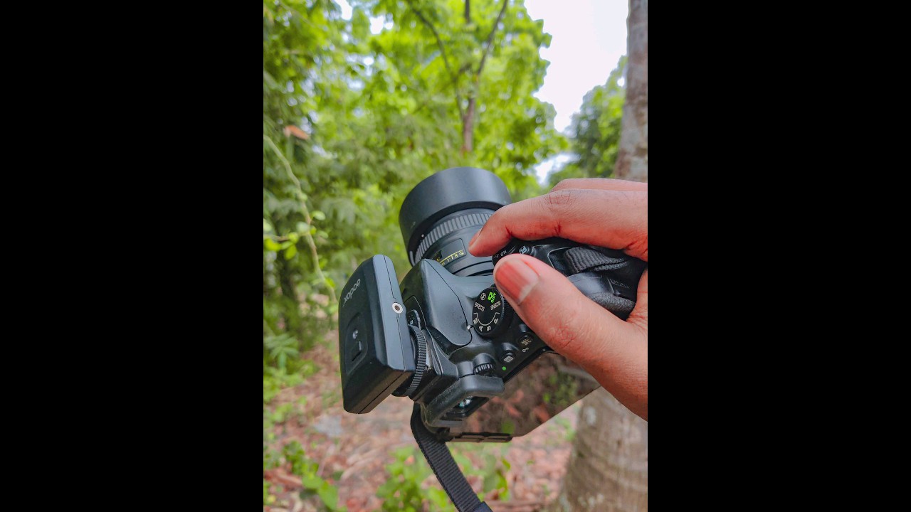 Obejrzyj Nikon D5500 With 50mm F1.8 Photography | #shorts #trending #photography #viral w YouTube Obejrzyj Nikon D5500 With 50mm F1.8 Photography | #shorts #trending #photography #viral w YouTube