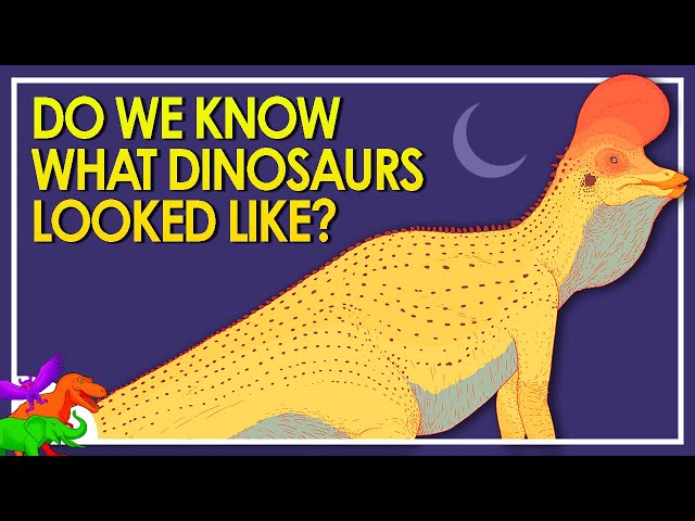 All Yesterdays” Explained | Speculative Zoology | PT 2 - YouTube