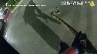 Illegal pet snake in Texas over 6 feet long wrangled by officer, police bodycam footage shows