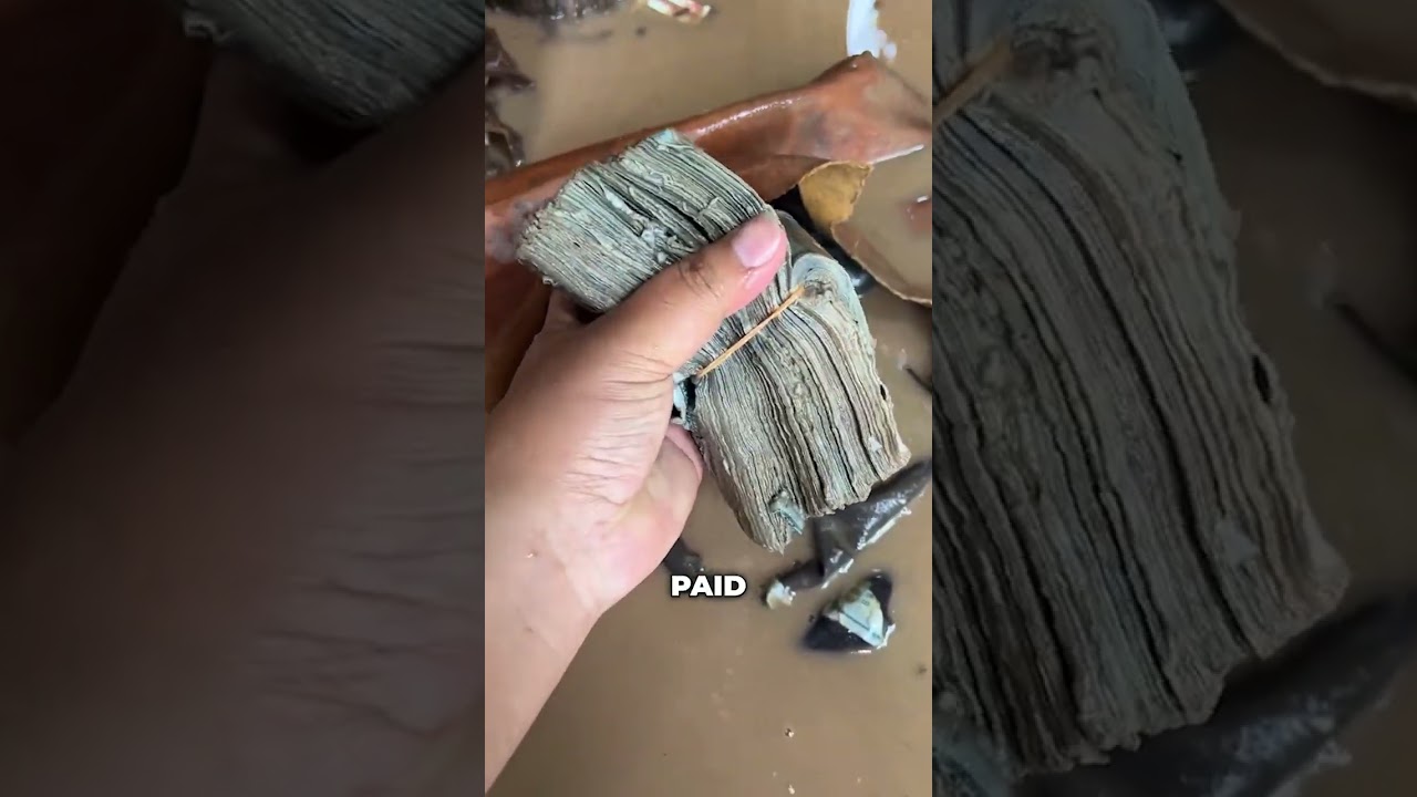 Craziest Things Found In Planes At The Bottom Of Lakes #shorts