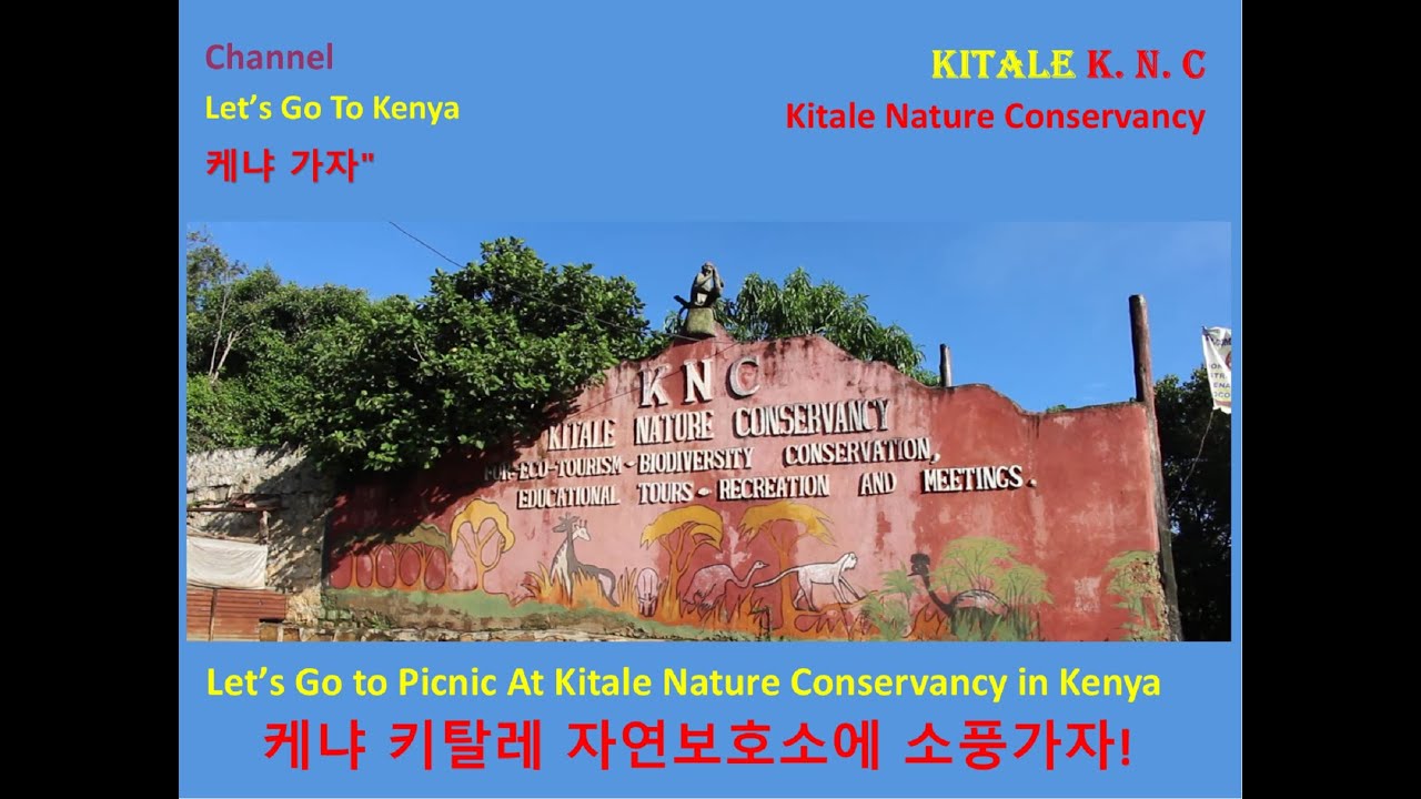 Kitale Nature Conservancy KNC키탈레 자연보호소, 케냐 동물보호소/ Let't go