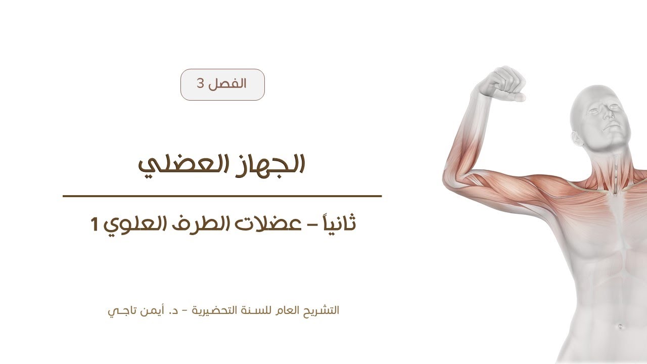الجهاز العضلي | عضلات الطرف العلوي 1 | التشريح العام للسنة التحضيرية