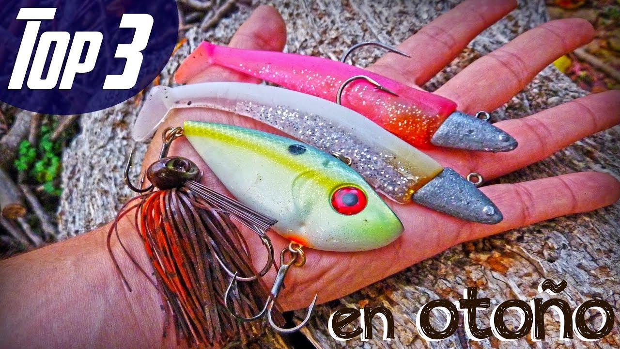 Cebo De Pescar En Ingles De Pesca Cebo De Pescar En Ingles De Pesca
