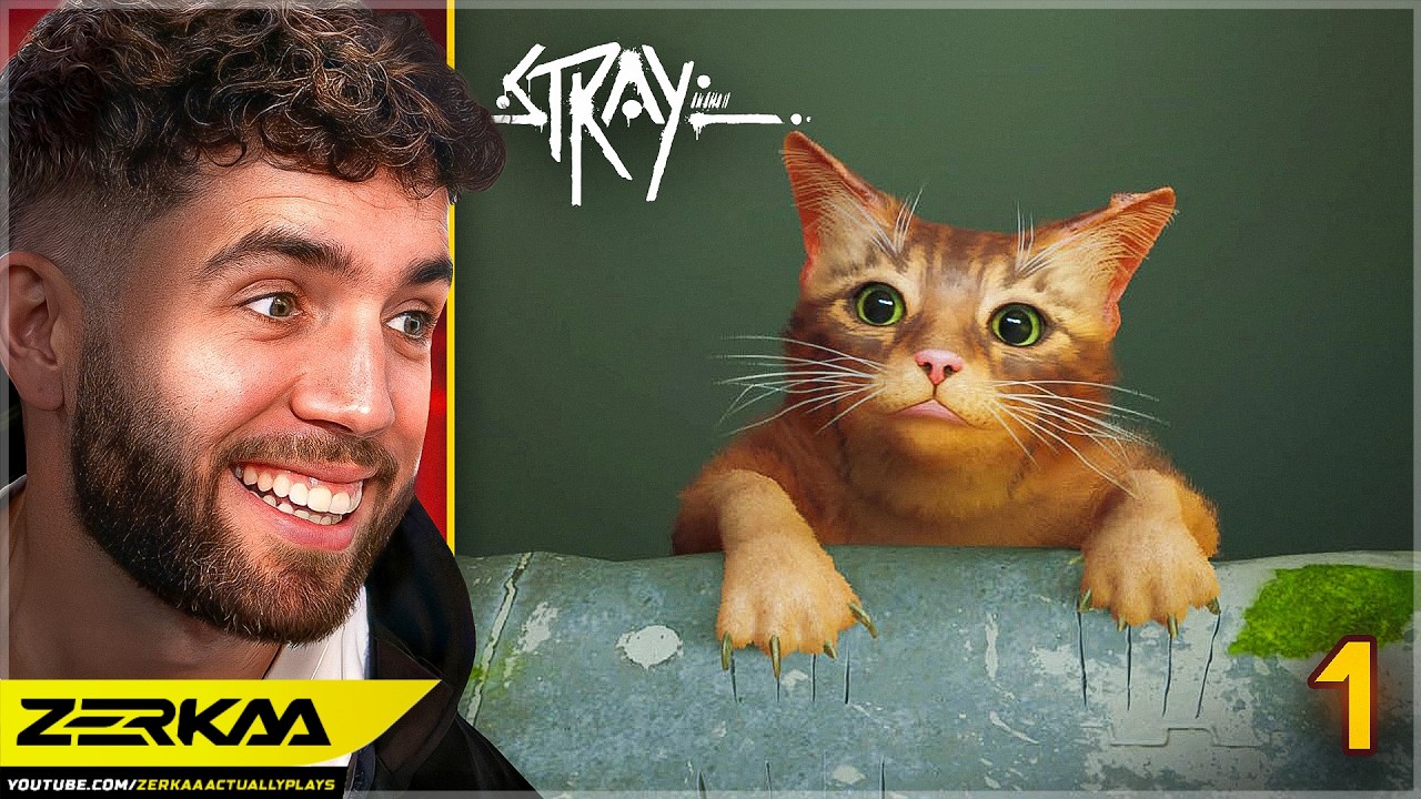 FINALLY PLAYING STRAY!