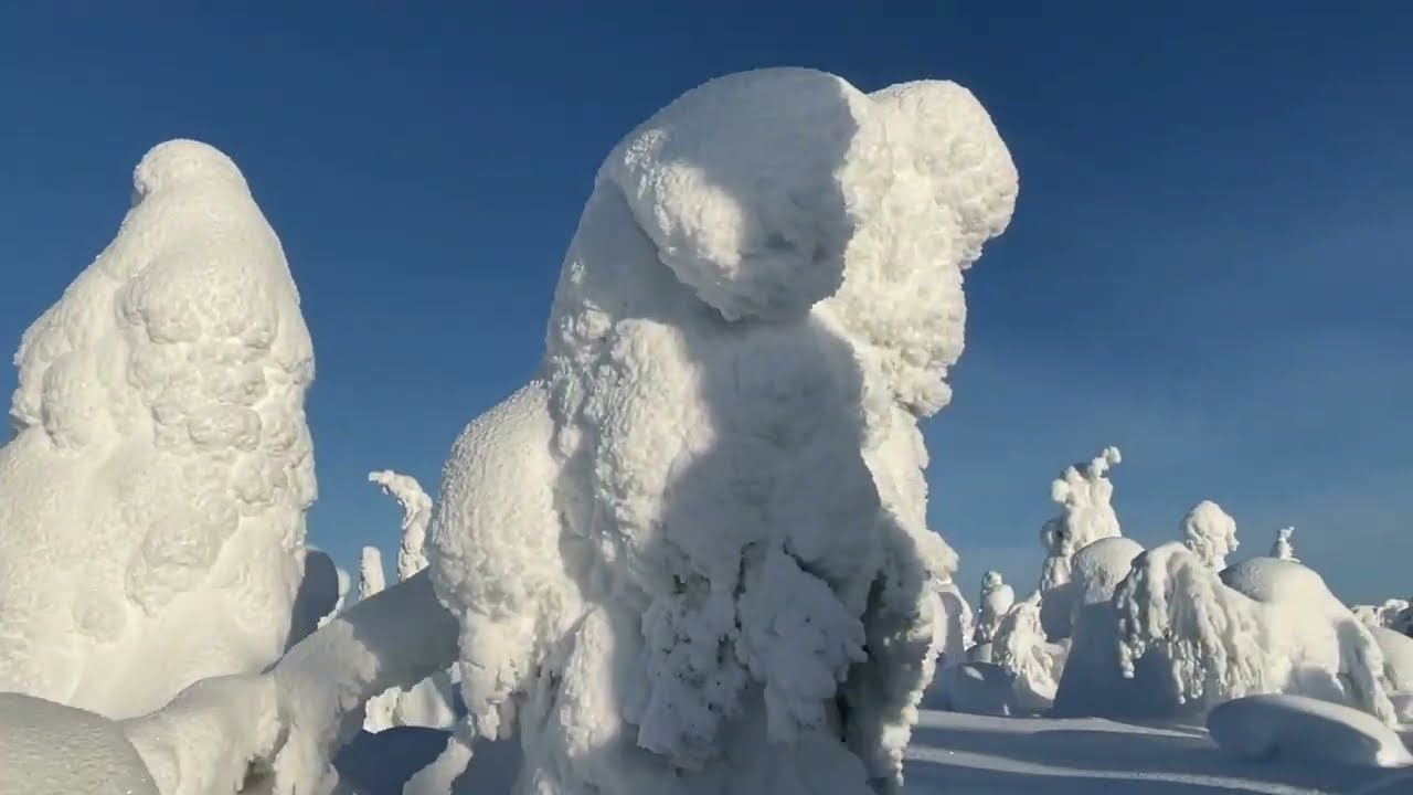 Snowmobile ride to the summit of Kuntivaara fell.