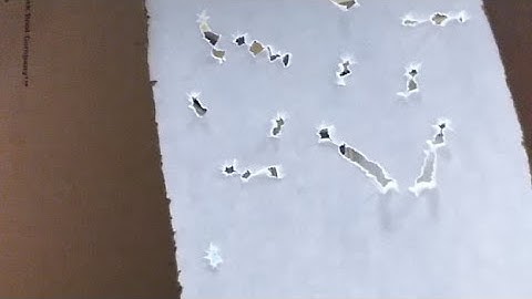 Two Minute Tip: Spine Indexing Your Arrows