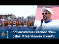 Qophaa'ummaa Filannoo Waliigalaa 7ffaa Shawaa Lixaatti