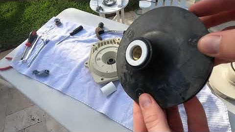 How To Replace A Pentair WhisperFlo Pump Motor