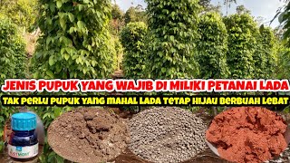 PUPUK PENYUBUR LADA, MELEBATKAN BUAH LADA, PUPUK INI WAJIB DIMILIKI PETANI LADA.