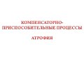 Компенсаторно-приспособительные процессы - атрофия