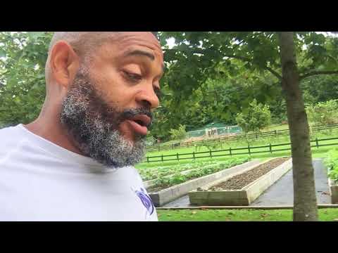 Children Get Abused and Adults Go Free - Children Get Abused and Adults Go Free