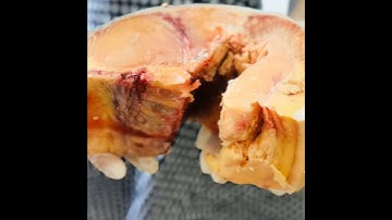 Cá Tra dầu - Cá khủng. LH: 0933 021 082