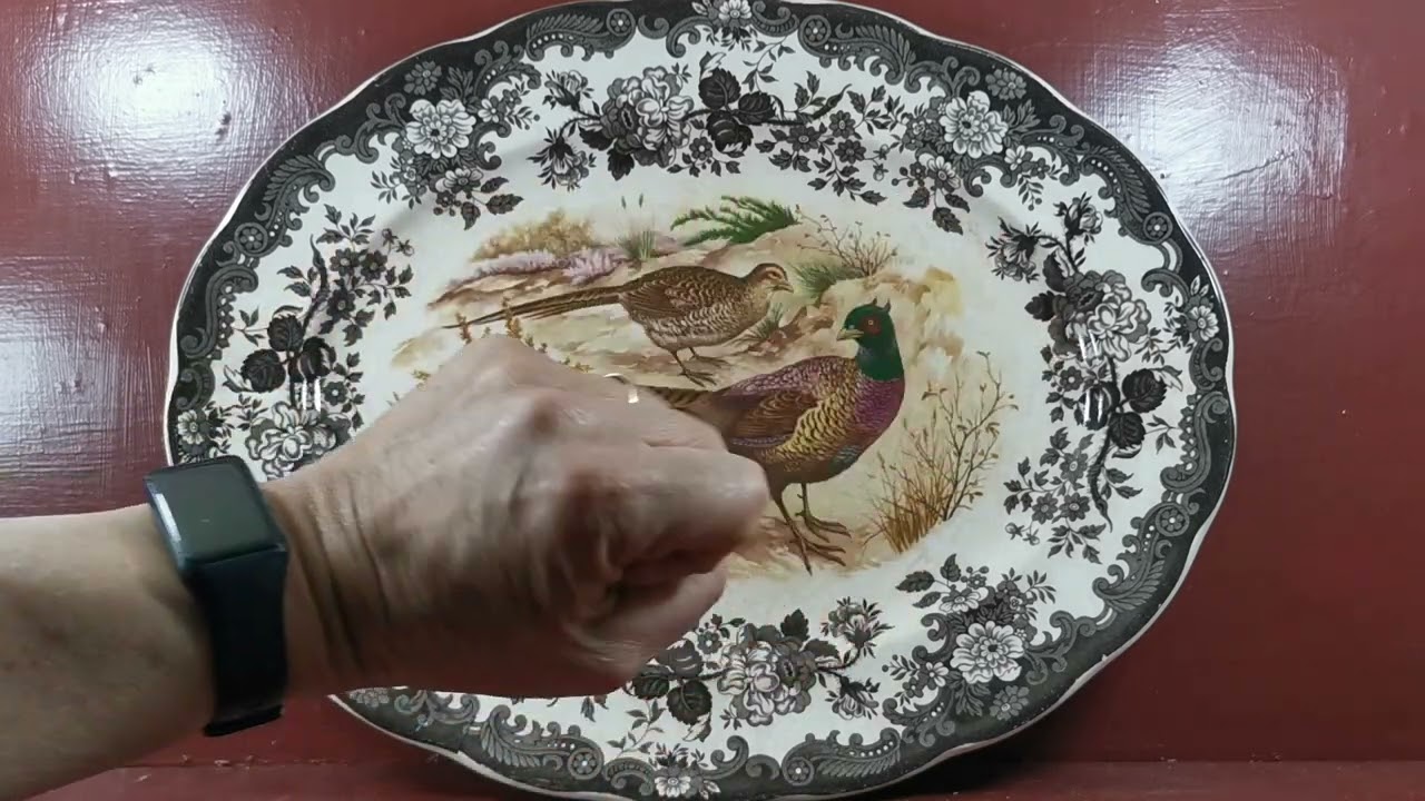 Vintage Royal Worcester Palissy China Game Series Pheasants 16