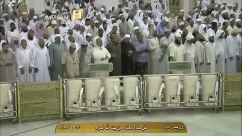 وقضى ربك ألا تعبدوا إلا إياه وبالوالدين إحسانا - سورة الاسراء آية 23 - ماهر المعيقلي