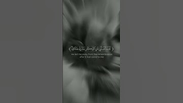 #يوم_يعض_الظالم_على_يديه💔👌🏻 #قران_كريم #قرآن #تلاوات #تلاوات_خاشعة #آيات