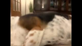 78347644987  608A70FD 0106 42DE 9A6D 6D906AAD2A8E