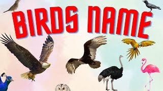 50 Birds name with pictures | [Learn birds name] Birds vocabulary for kids | #birdsnamewithpictures