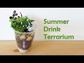 Summer Drink Terrarium DIY | Sunny DIY