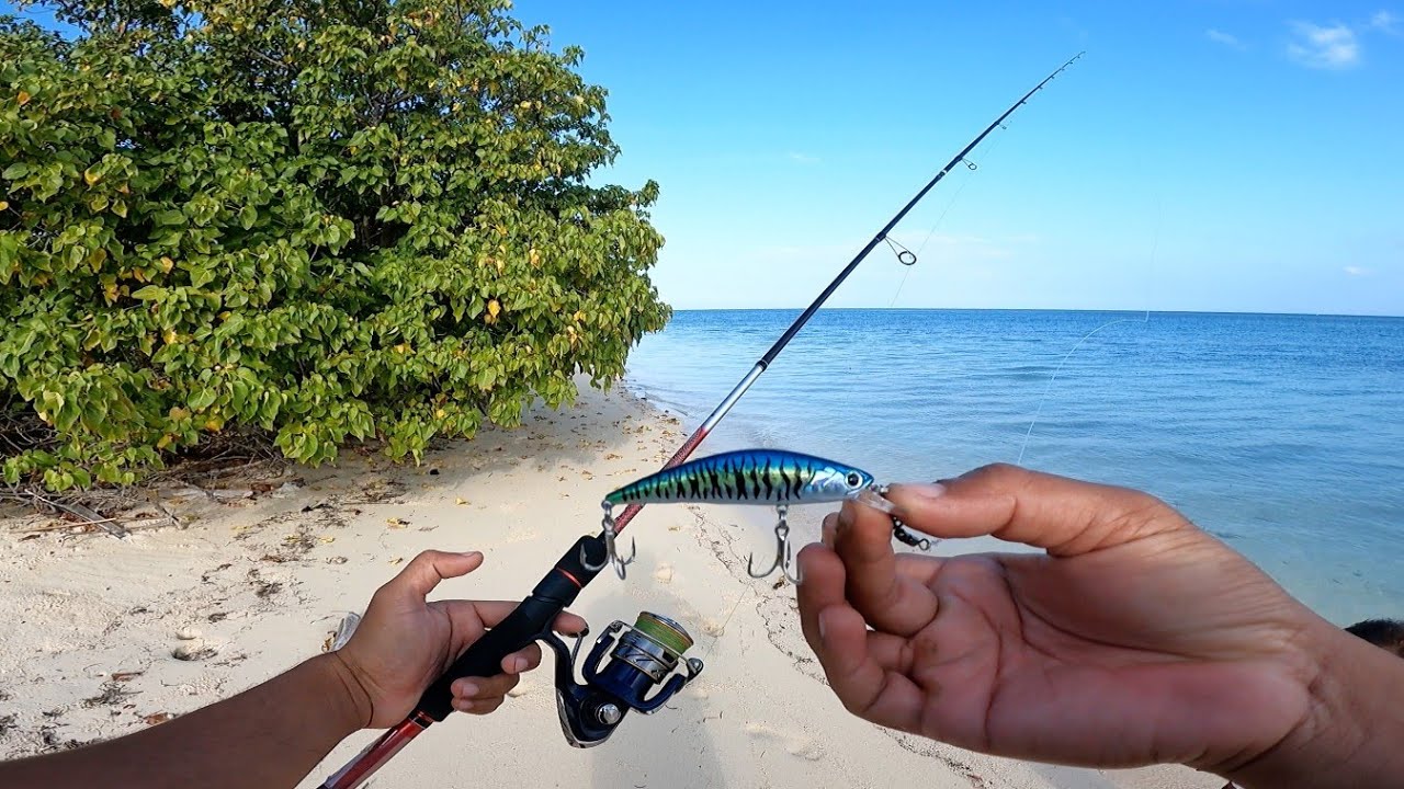 Minnow killer Seharian casting dibuat jangtungan.!!