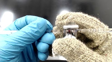 MSE 407 S21 Glass Lab - Glass Preparation