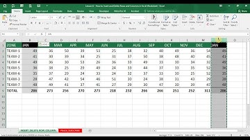 Lesson 6 - How to Insert and Delete Rows and Columns in Excel Worksheet
