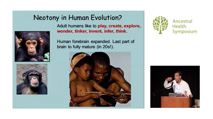 Functional Frivolity: Human Brain Evolution and Play — Aaron Blaisdell, Ph.D. (AHS14) - DayDayNews