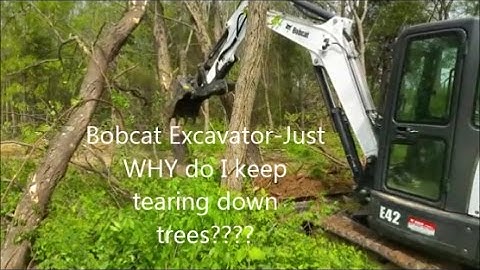 Bobcat E42 Excavator-JUST WHY DO I KEEP TEARING DOWN TREES???