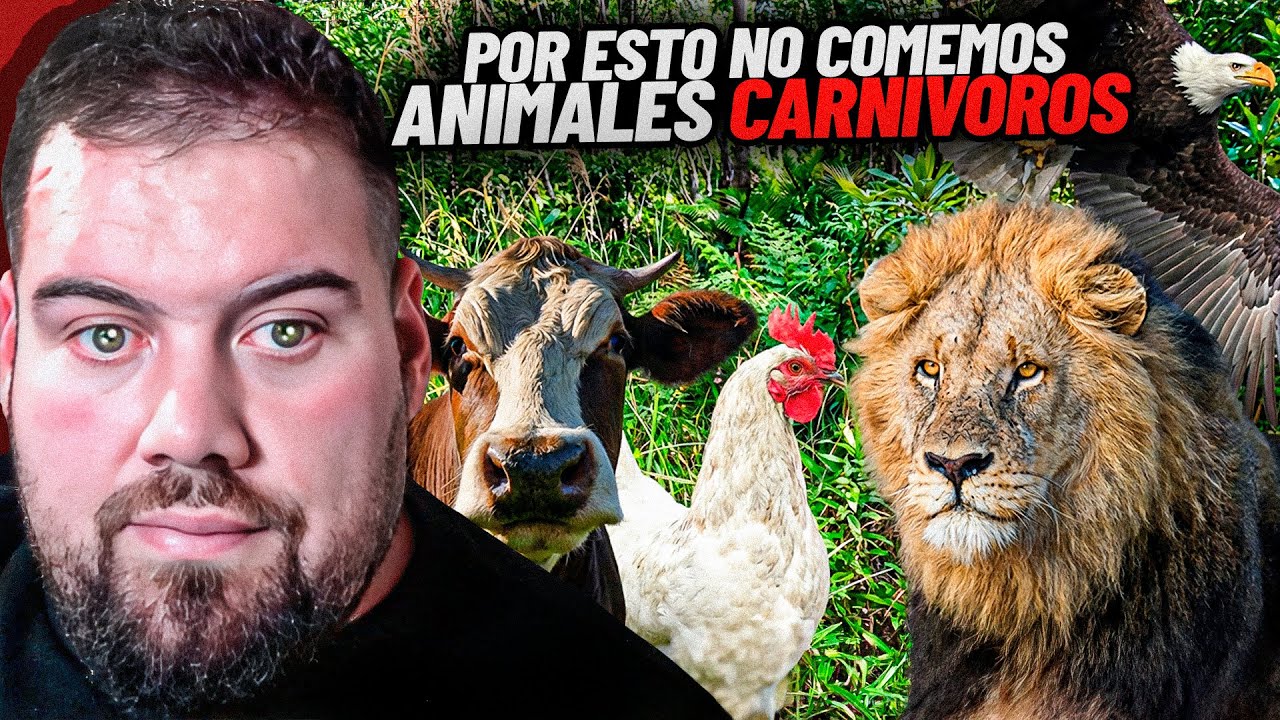 LAS 5 MOTIVOS POR EL QUE NO COMEMOS ANIMALES CARNÍVOROS 