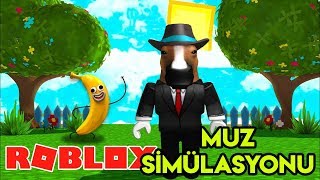 Muz Simülasyonu  | Banana Simulator | Roblox Türkçe