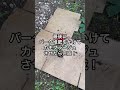雑草が生えにくくなるガーデニング裏技 #shorts #ガーデニング #ガーデニング初心者