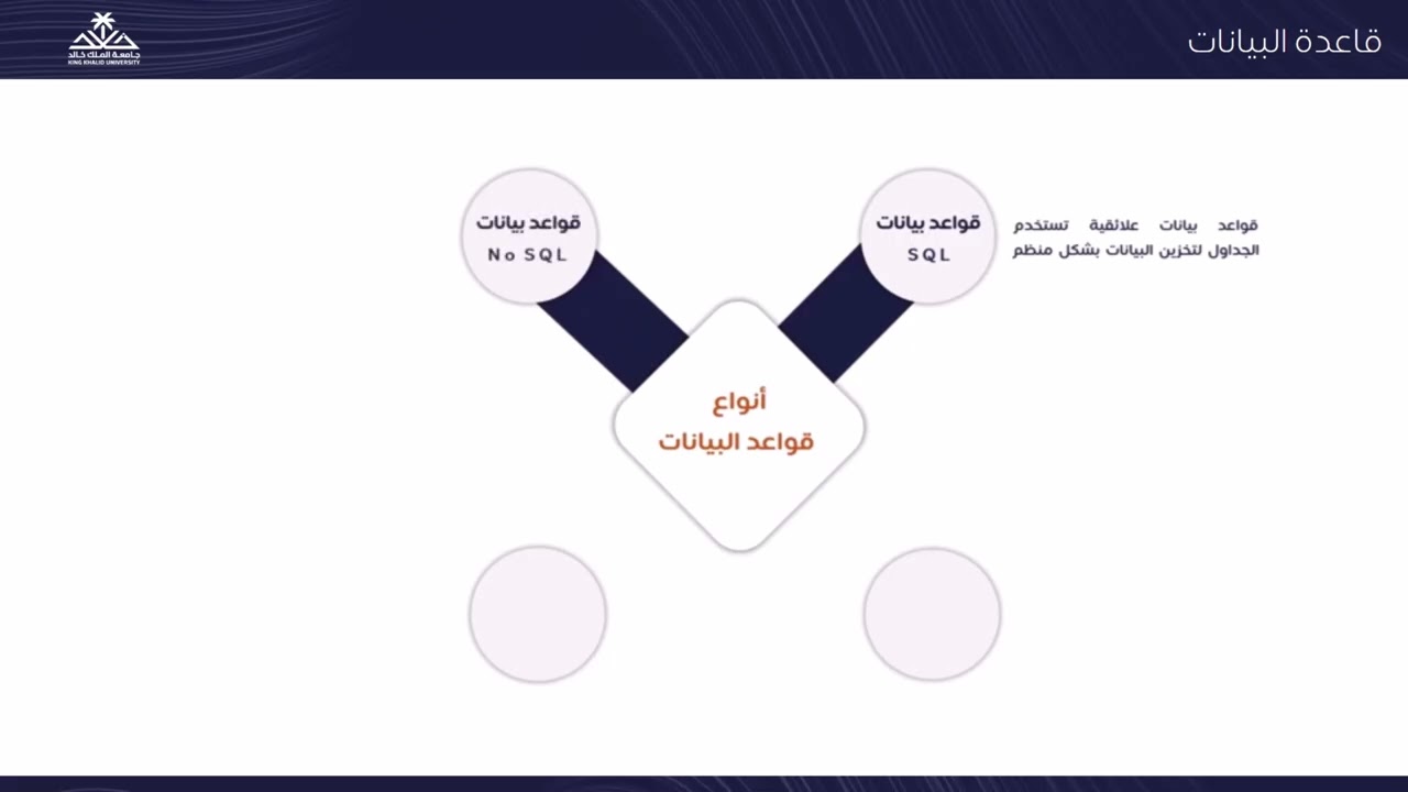 أنواع قواعد البيانات