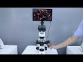 🔬 The world glows in ways you’ve never seen before.Meet the Murzider Fluorescence Microscope.