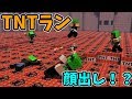 マインクラフト TNTランで優勝しないと罰ゲーム 