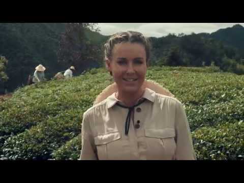 Wideo: Korzyści Z Białej Herbaty