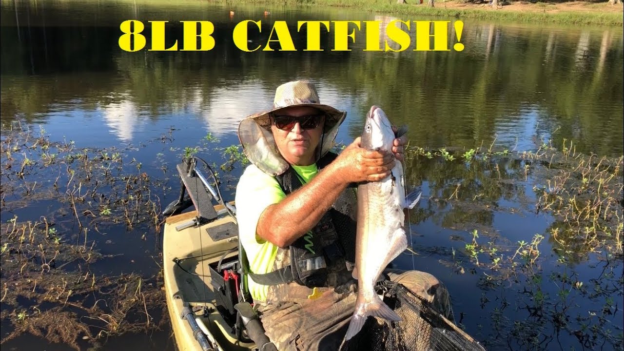 8 LB. CATFISH! Bottle Fishing YouTube