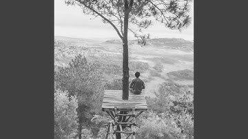 Pulsating Moods for Peak Wellness