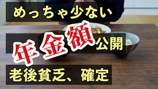 めっちゃ少ない年金額を公開。予想される厳しい老後をいかに生き延びるか？年金受給予定額とにらめっこしながら老後不安を払拭すべく未来計画を立案しました