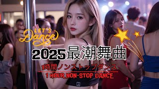 2025最潮舞曲 - 最新最火DJ抖音版【全中文dj舞曲】TIK TOK抖音音樂熱門歌單🔥夜店流行舞曲🎶2025最火歌曲DJ Remix💥