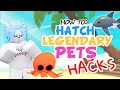 HOW TO HATCH A LEGENDARY PET in Adopt Me! Testing VIRAL TIKTOK HACKS in Adopt Me